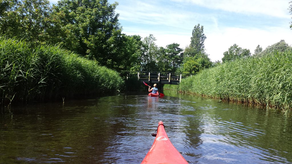 Groep op Kanoroute in Den Helder